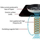 Teslas, Blenders, EMF & Parkinson's