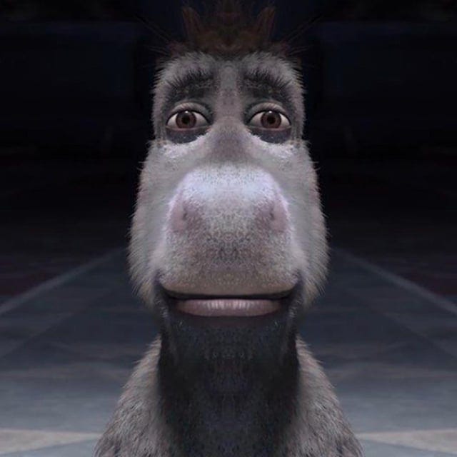 r/MemeTemplatesOfficial - HD staring donkey