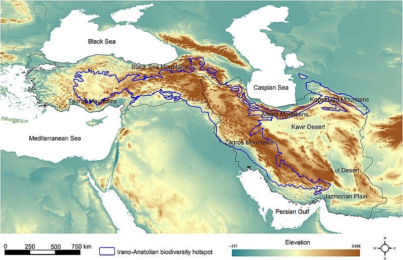 Irano-Anatolian - Wikipedia