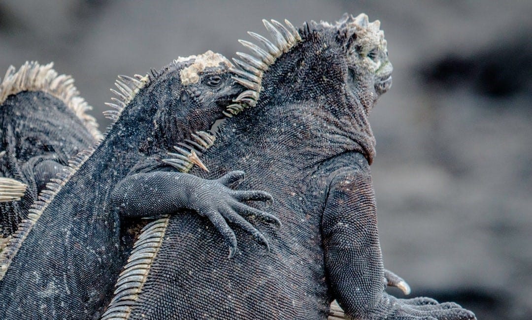 12 Things Everyone Should Know About Evolution