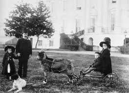 Benjamin Harrison's Pet Goat ...