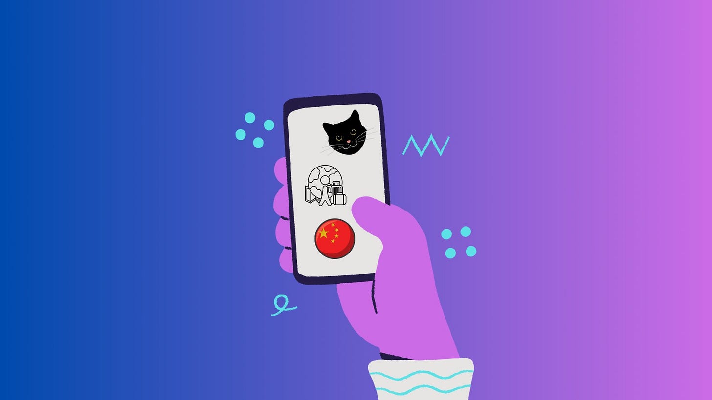Image of smartphone with Chinese flag and cat face in it