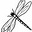 Jon Dragonfly's avatar