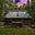 Quaker Path Retreat & Camp's avatar