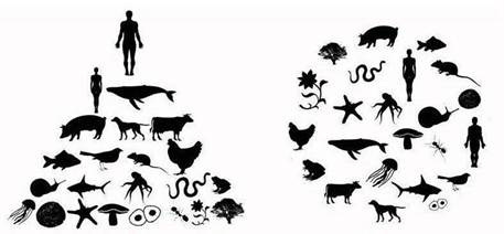 A group of animals and birds

Description automatically generated with medium confidence