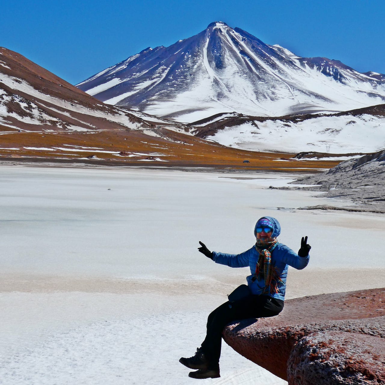 Viridi Litterae de Marga Sebastián