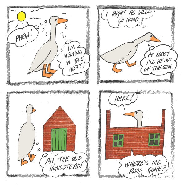 A white duck is standing outdoors. "Phew!" he thinks. "I'm melting in this heat!" He decides to go home to get out of the sun. He enters his house... only to realize that the roof is gone!