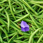 A Profound Shift in Thinking