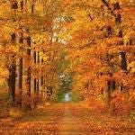 October October