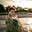 Julia King Boone's avatar