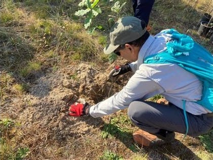 a man with a ballcap and knapsack leans down to plant seeds in the ground.