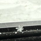 Tools for Living (Through Chaos)