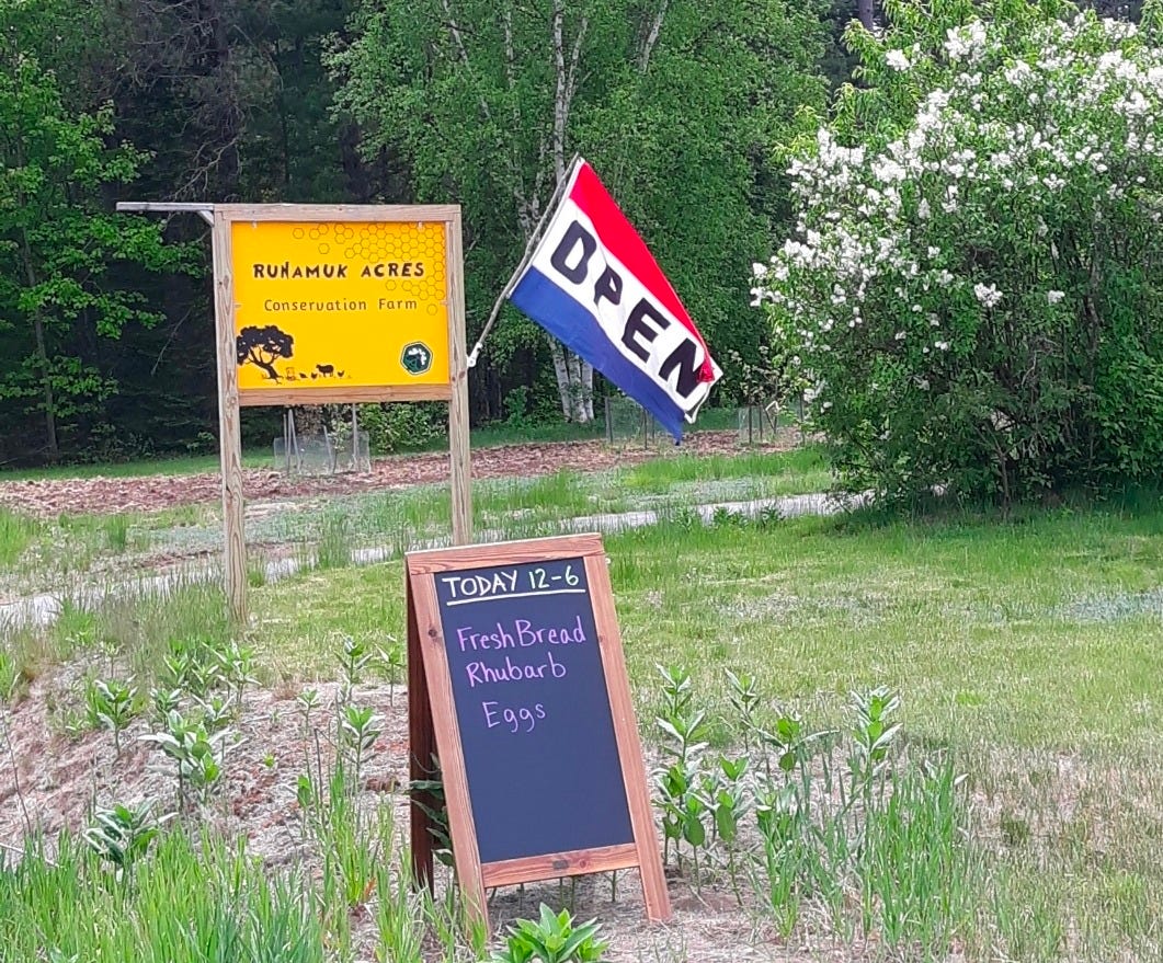 moving forward farming in spring moving forward farming in spring