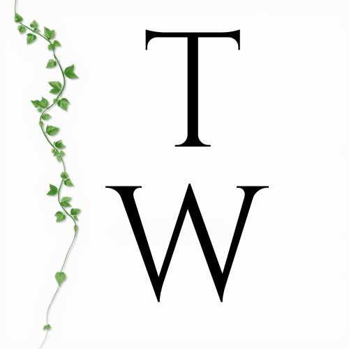 The Wall by Jessica Florio