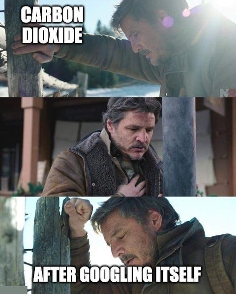 Three-panel Pedro Pascal meme: a man leaning against a post in grief, labelled "Carbon dioxide" and "After googling itself".