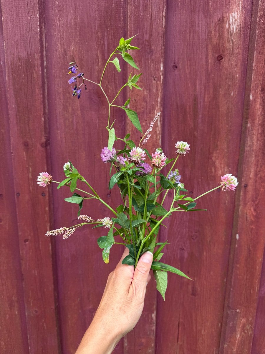 a handful of foraged weeds makes a pretty bouquet