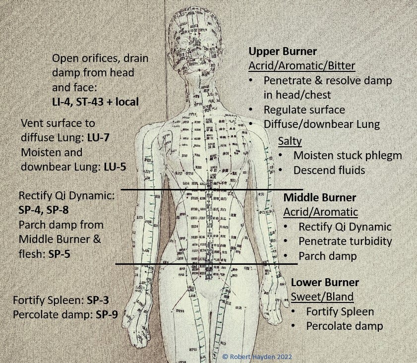 An image of an acupuncture point mannequin divided into upper, middle, and lower sections with the treatment principles and point selection for each.  Upper Burner:  Acrid/Aromatic/Bitter: Penetrate & resolve damp in head/chest, Regulate surface, Diffuse/downbear Lung. Salty: Moisten stuck phlegm, Descend fluids. Points: Open orifices, drain damp from head and face:  LI-4, ST-43 + local. Vent surface to diffuse Lung: LU-7. Moisten and downbear Lung: LU-5.  Middle Burner: Acrid/Aromatic: Rectify Qi Dynamic, Penetrate turbidity, Parch damp. Points: Rectify Qi Dynamic: SP-4, SP-8. Parch damp from Middle Burner & flesh: SP-5.  Lower Burner: Sweet/Bland: Fortify Spleen, Percolate damp. Points: Fortify Spleen: SP-3. Percolate damp: SP-9.