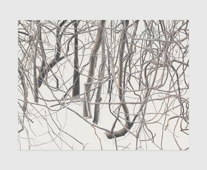 Tacita Dean — Crowhurst II [2007] / Toba Khedoori — Untitled (Branches I) [2011-12].