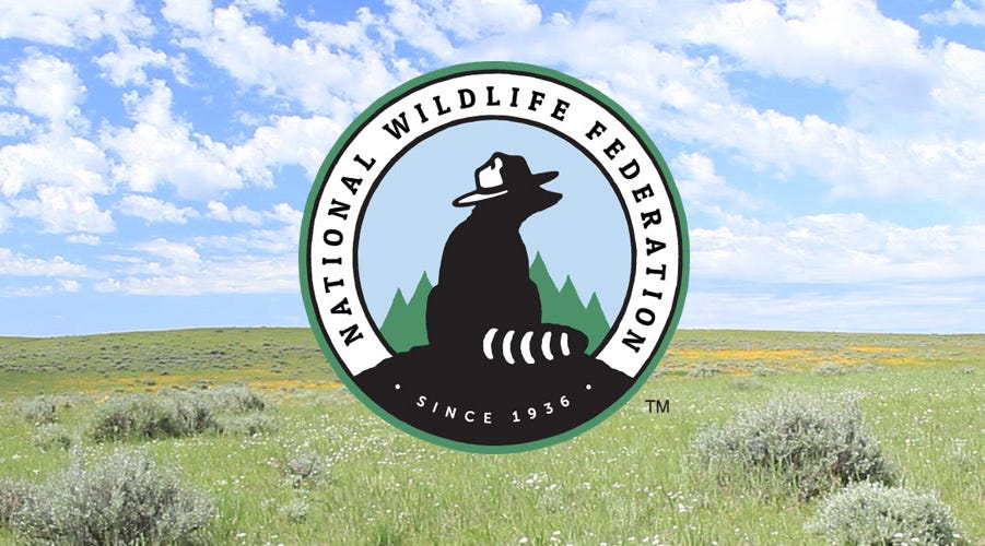 nwf.org nwf.org