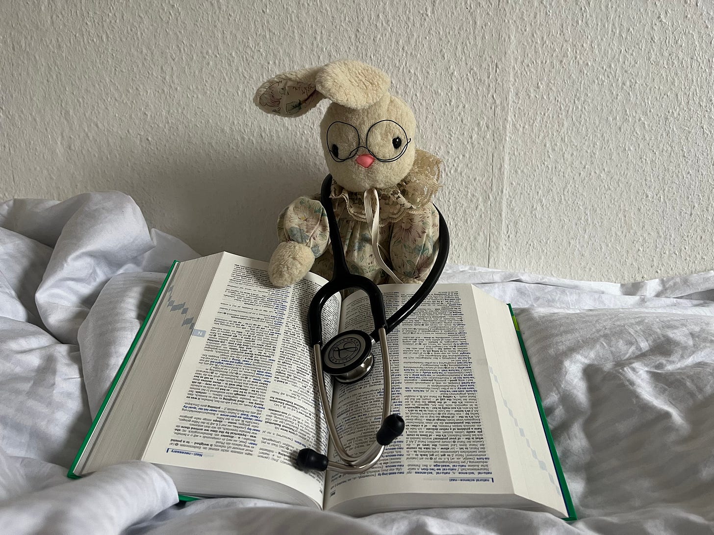 Ein Kuschelhase mit Brille auf der Nase und Stethoskop um den Hals sitzt mit einem aufgeschlagenen Wörterbuch auf einem mit weißer Bettwäsche bezogenen Bett