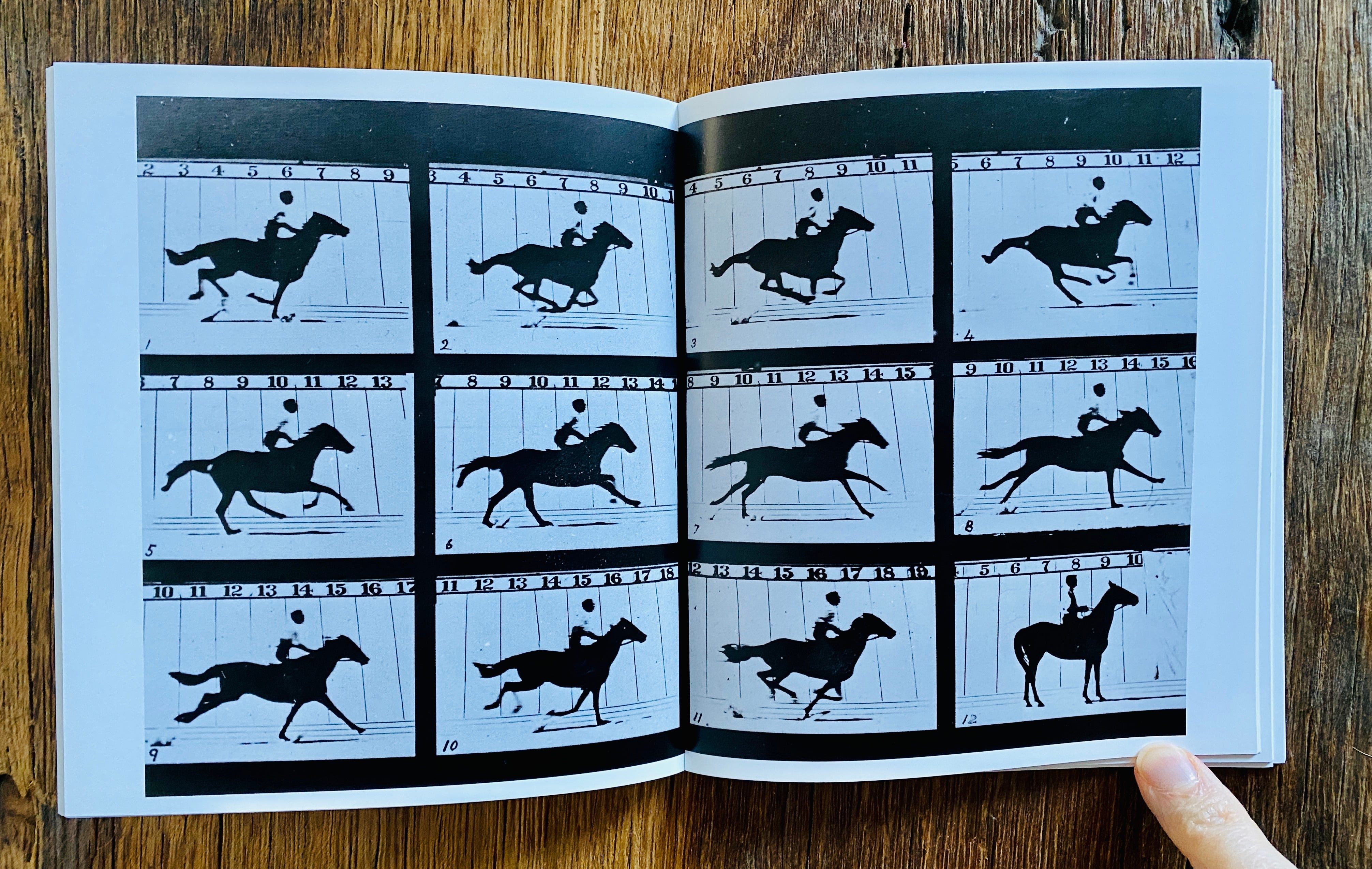 The power of photo sequencing - by Susanne Helmert