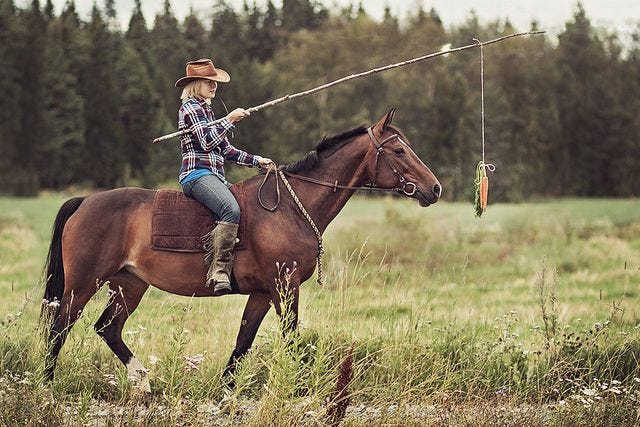 Woman on a horse encouraging it to advance by means of a carrot dangling from a pole