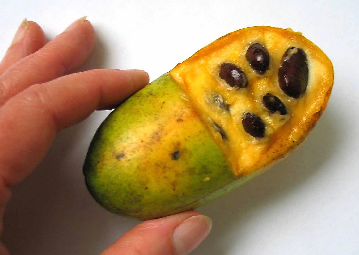 File:Fruit of pawpaw, with seeds revealed.jpg - Wikimedia Commons File:Fruit of pawpaw, with seeds revealed.jpg - Wikimedia Commons