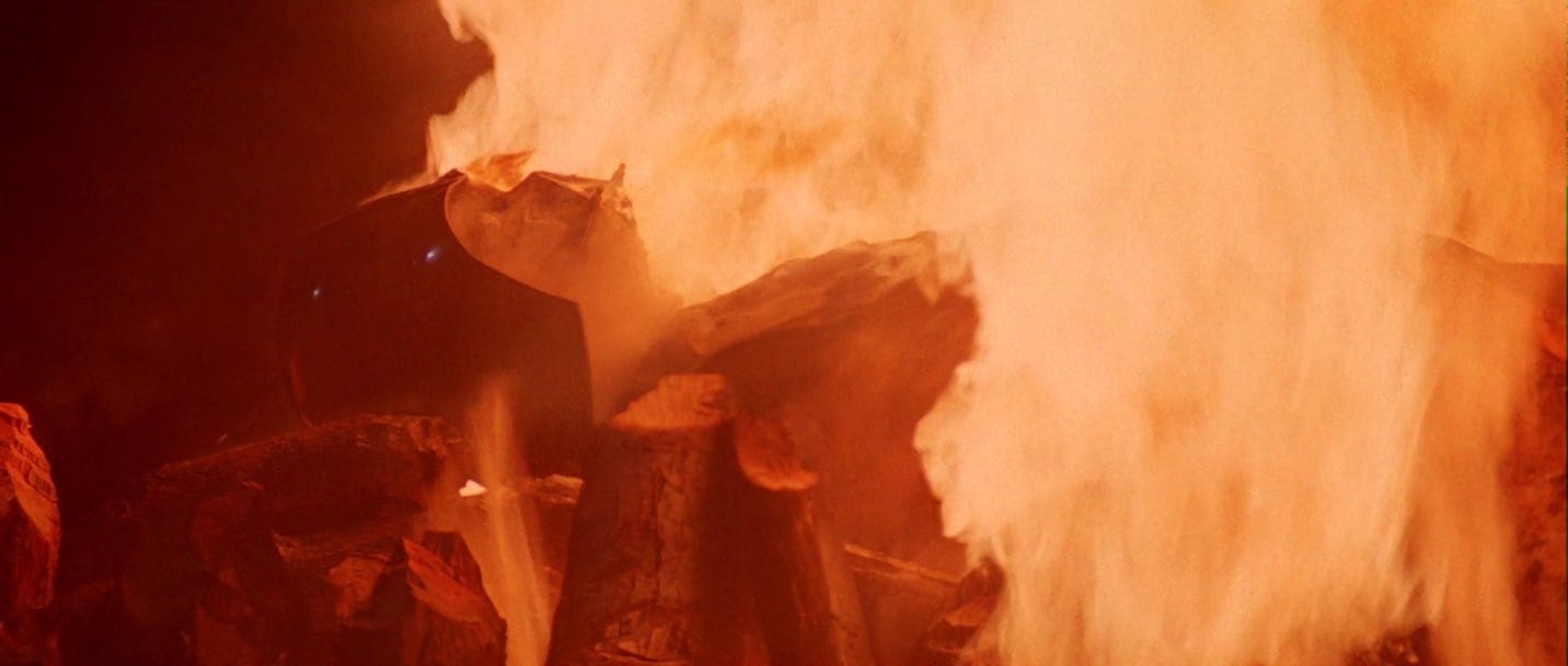 A close-up of a fire

Description automatically generated