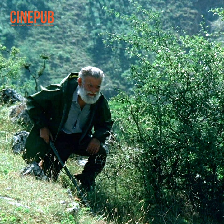 Cireșarii - still images