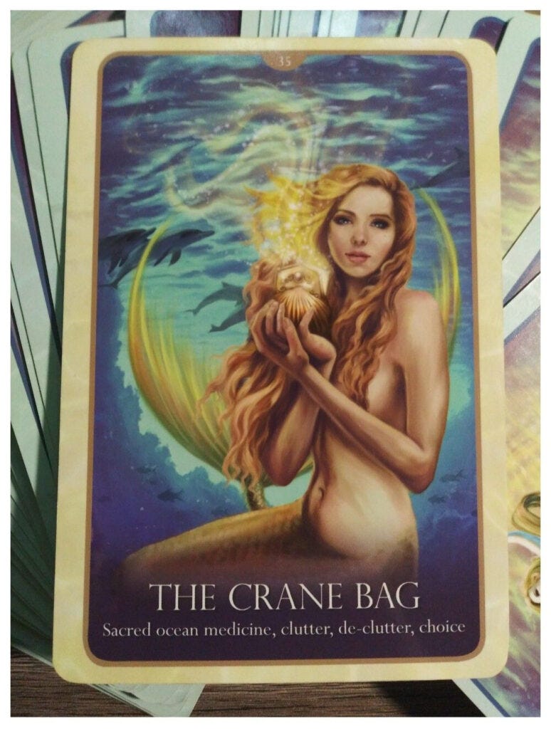 A Message from the Universe - The Crane Bag