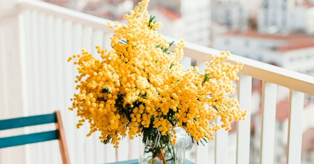 yellow flowers on brown wooden table