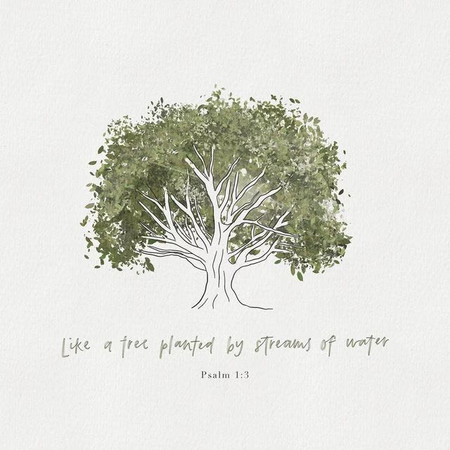 a tree planted by the water. - by johanna c  .