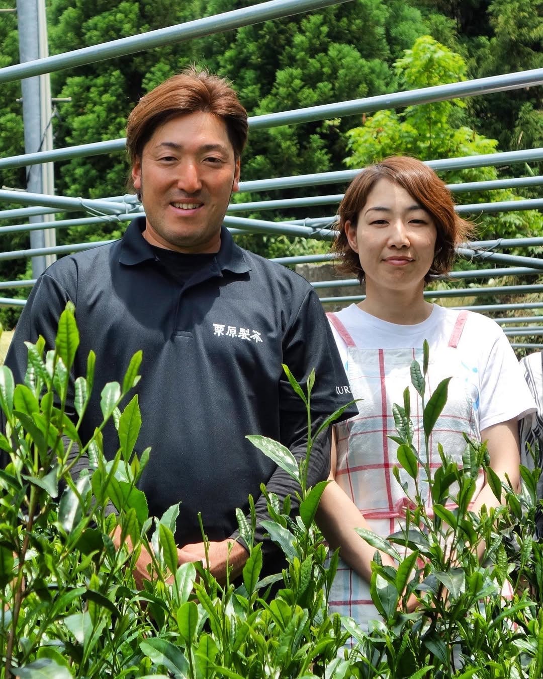 #0068.F2 Kurihara Tea: [2025] Competition Grade Saemidori Heritage Gyokuro Green Tea