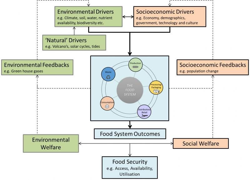 Food System Map From Oxford, this schematic shows the food system in the middle with the influences around it. Influences are divided into socioeconomic and environmental drivers.