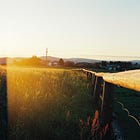 022 — More Photos: Life on Film