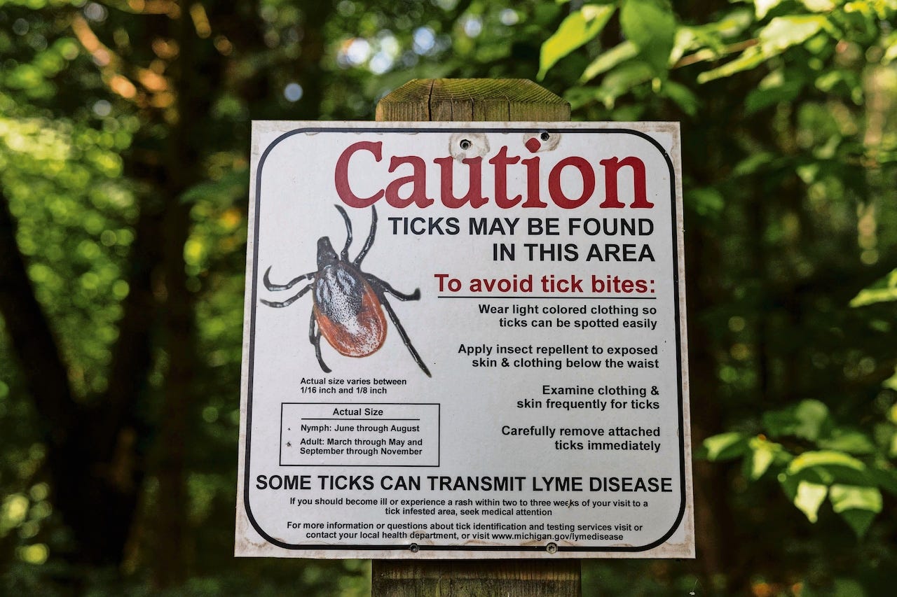 Vaccine for Lyme disease shows promise in trial amid rise in tick bites Vaccine for Lyme disease shows promise in trial amid rise in tick bites
