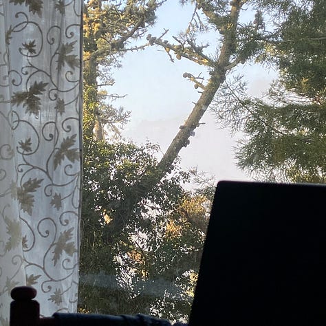 Images of morning light a few minutes apart