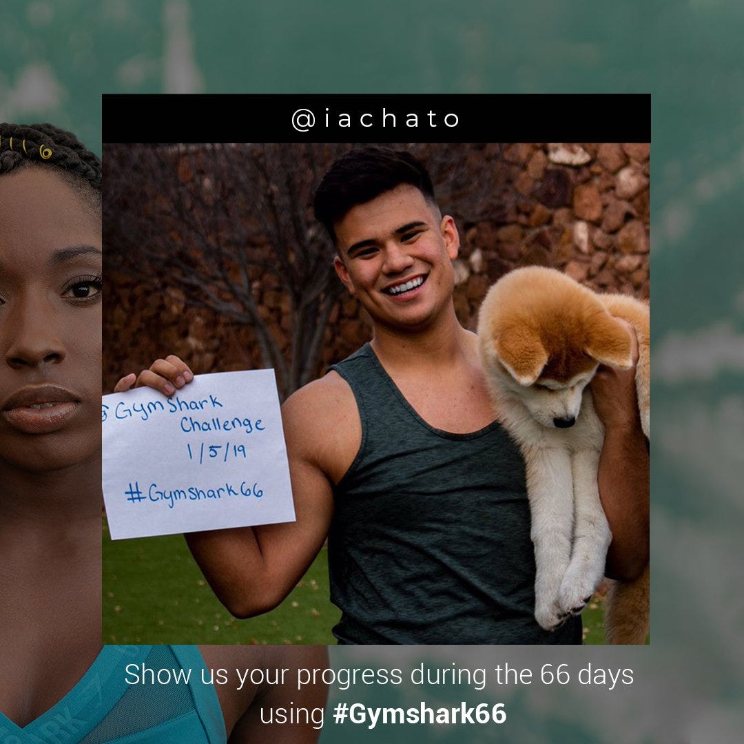Gymshark on Twitter: "Coming back at you with some inspiring #Gymshark66  participants 💪 Isaiah is all about a positive journey and we're here for  it 🙌 (We're also here for his pupper