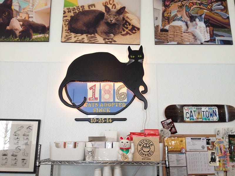 Cat Town Cafe, Oakland Cat Town Cafe, Oakland