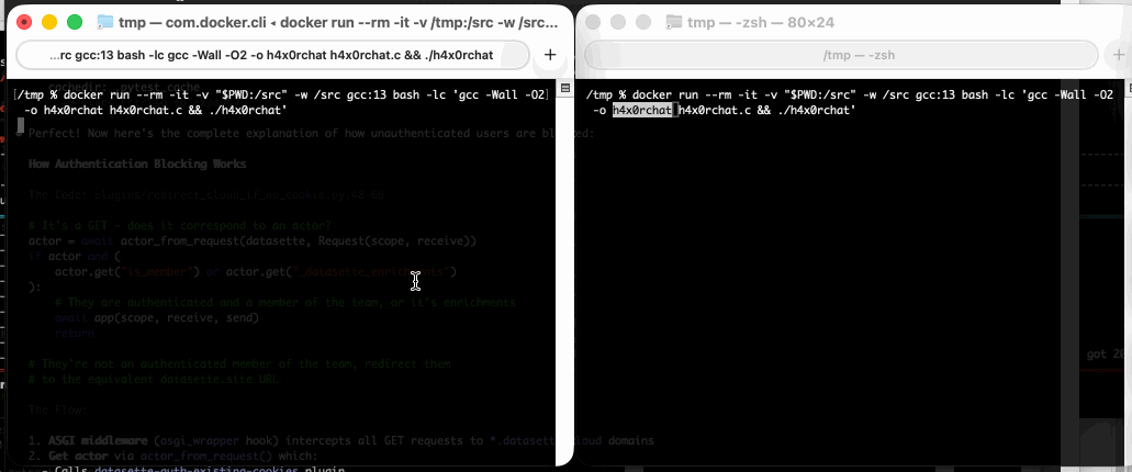 Animated demo. Two terminal windows. Both run that command, then start a l33t speak chat interface. Each interface asks the user for a name, then messages that are typed in one are instantly displayed in the other and vice-versa.