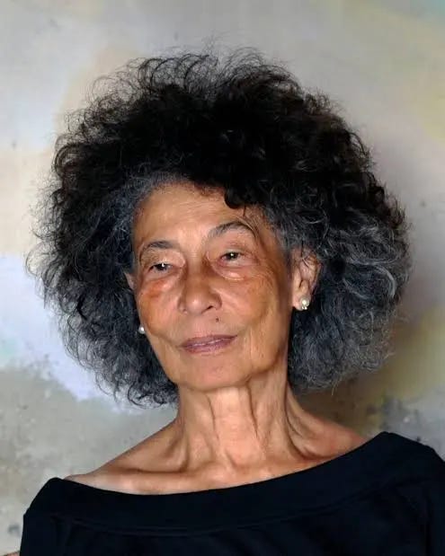 Zoë Wicomb Archives - Harvard Review