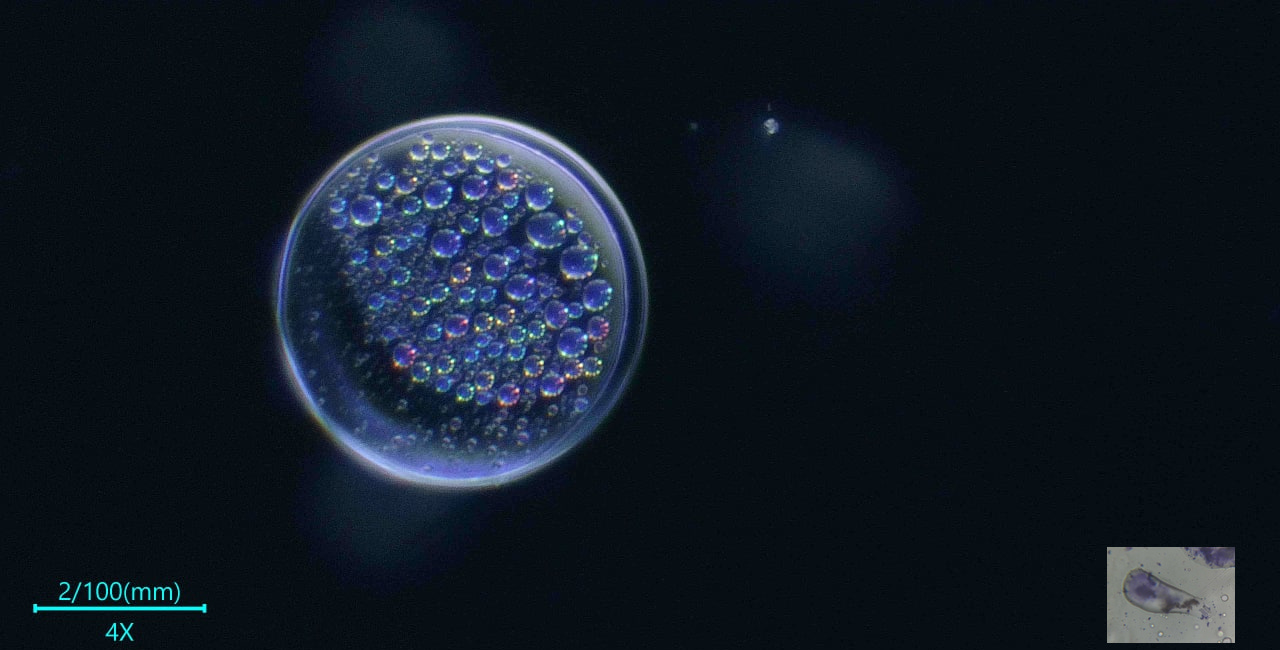 Test Hydrogel swab analysis part 2