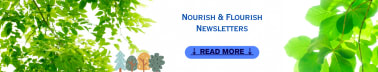 Nourish & Flourish Newsletters