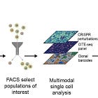 Spatial Perturb-seq, so hot right now! With Alexander Nevue