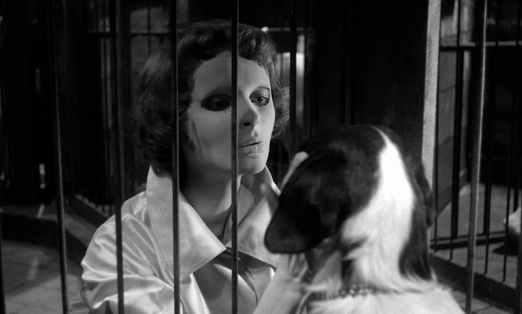 Il Bollalmanacco di Cinema: Amityville - Il risveglio (2017), image size:1792x1080