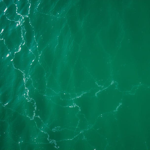 so many dialects of green