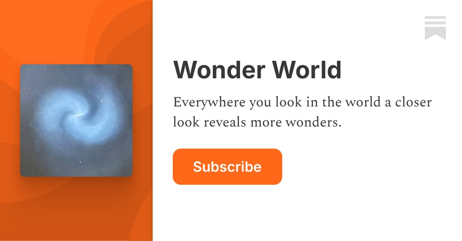 Wonder World | John Allen Cramer | Substack
