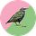Radical Queer Ecology