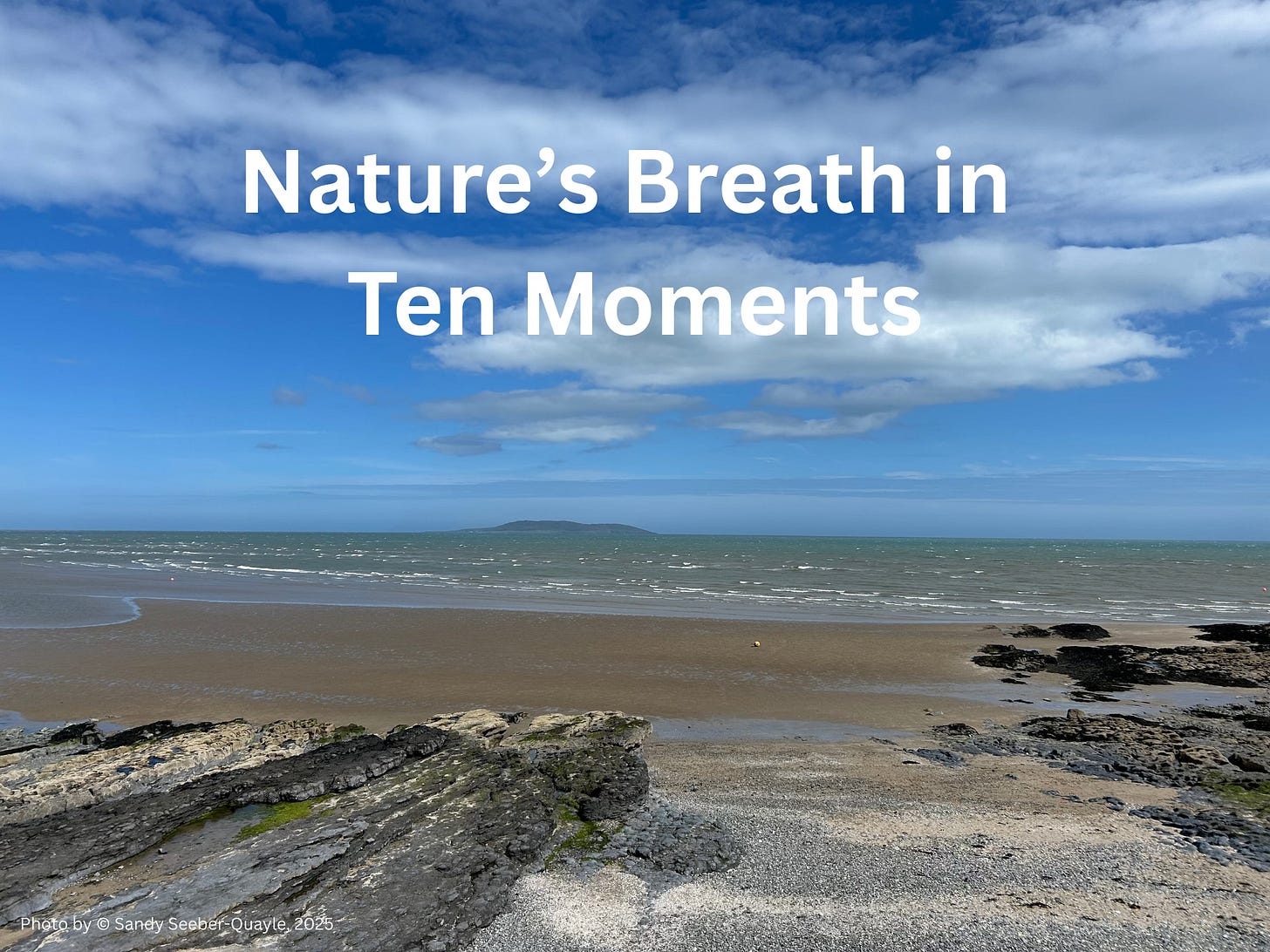 This baby blue skyabove pastel coloured grounds—a storm is brewing.