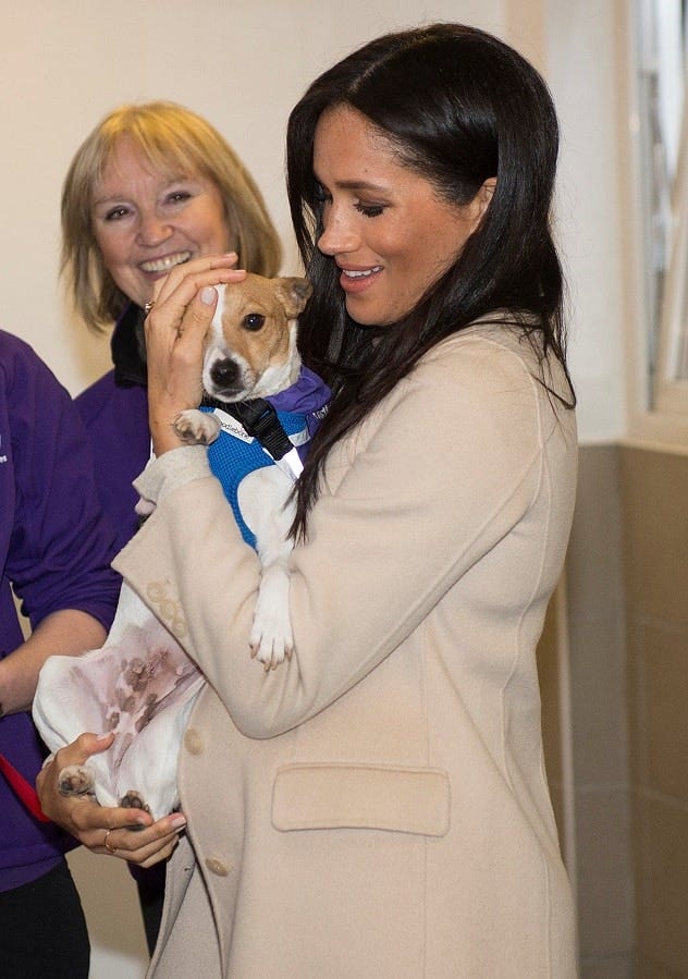 Meghan Markle adores dogs Meghan Markle adores dogs